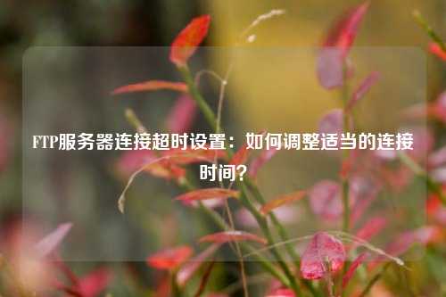 FTP服務(wù)器連接超時設(shè)置：如何調(diào)整適當(dāng)?shù)倪B接時間？