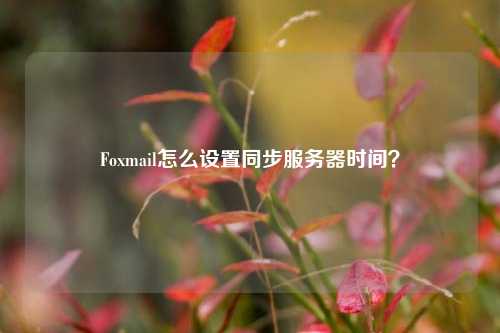 Foxmail怎么設(shè)置同步服務(wù)器時間？