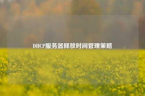 DHCP服務器釋放時間管理策略