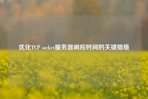 優(yōu)化TCP socket服務器響應時間的關(guān)鍵措施