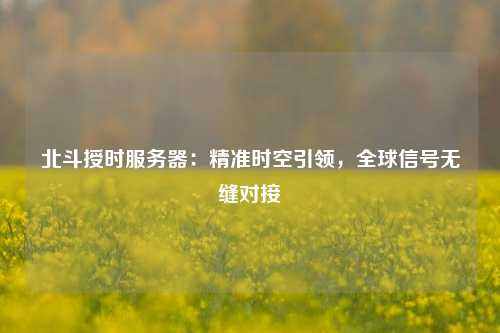 北斗授時服務器：精準時空引領，全球信號無縫對接