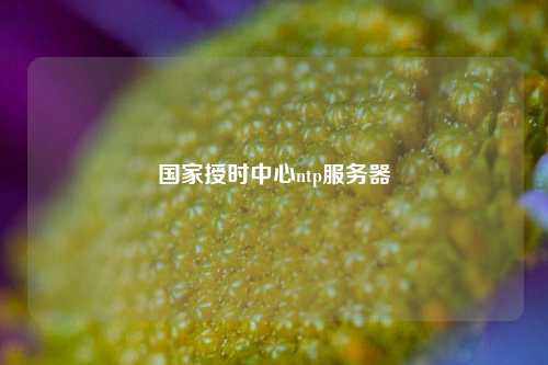國(guó)家授時(shí)中心ntp服務(wù)器