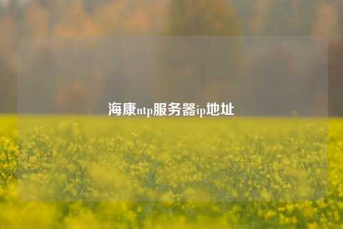 ?？祅tp服務器ip地址