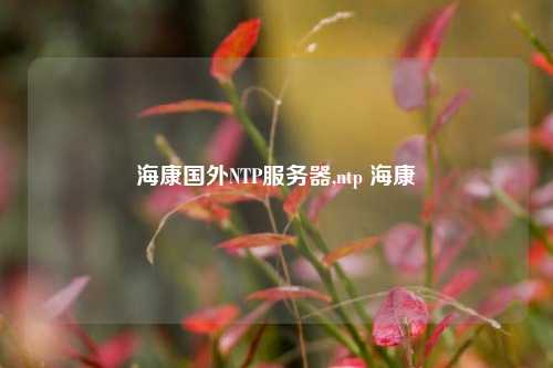 ?？祰釴TP服務器,ntp ?？? /></a></div>        <div   id=